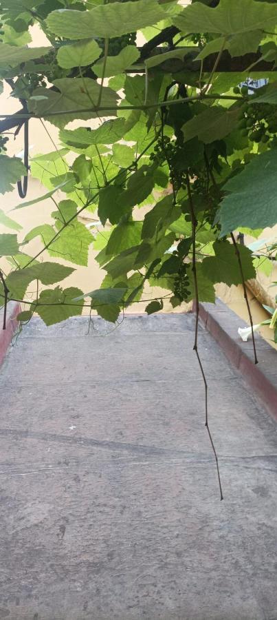 فندق Il Giardino Nascosto نابولي المظهر الخارجي الصورة
