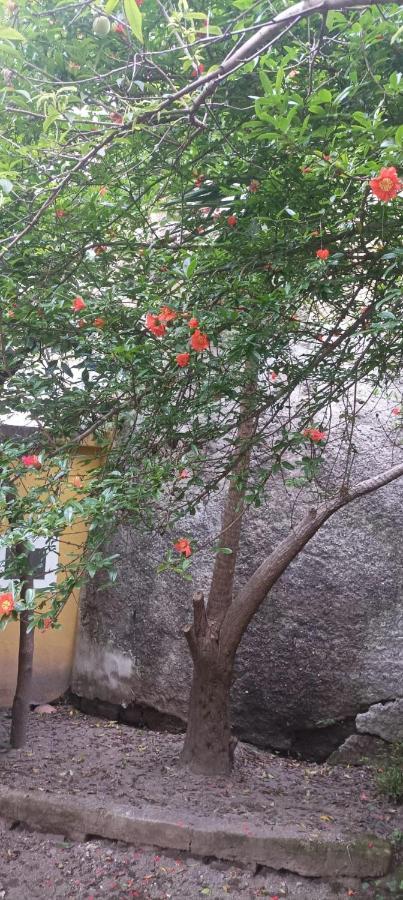 فندق Il Giardino Nascosto نابولي المظهر الخارجي الصورة