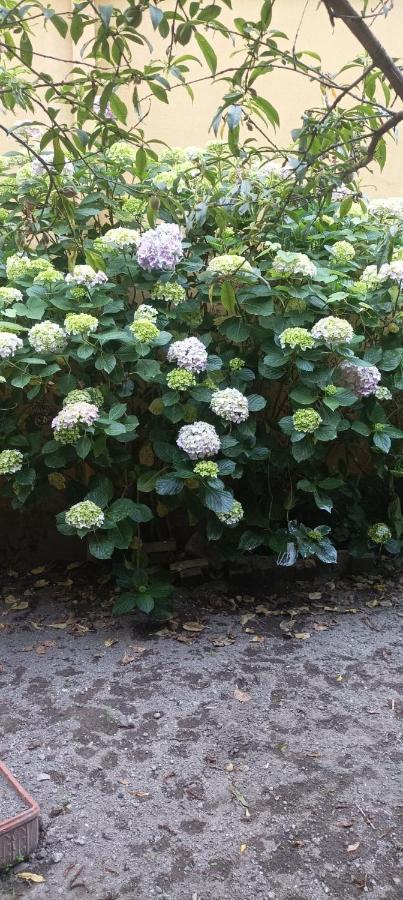 فندق Il Giardino Nascosto نابولي المظهر الخارجي الصورة