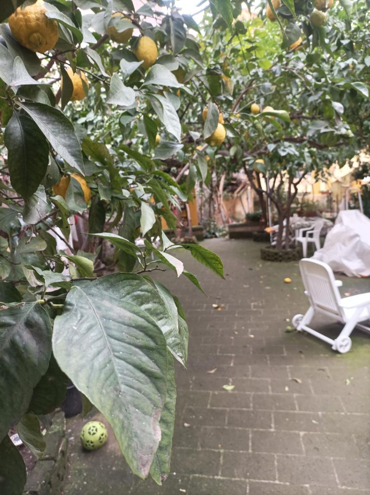 فندق Il Giardino Nascosto نابولي المظهر الخارجي الصورة