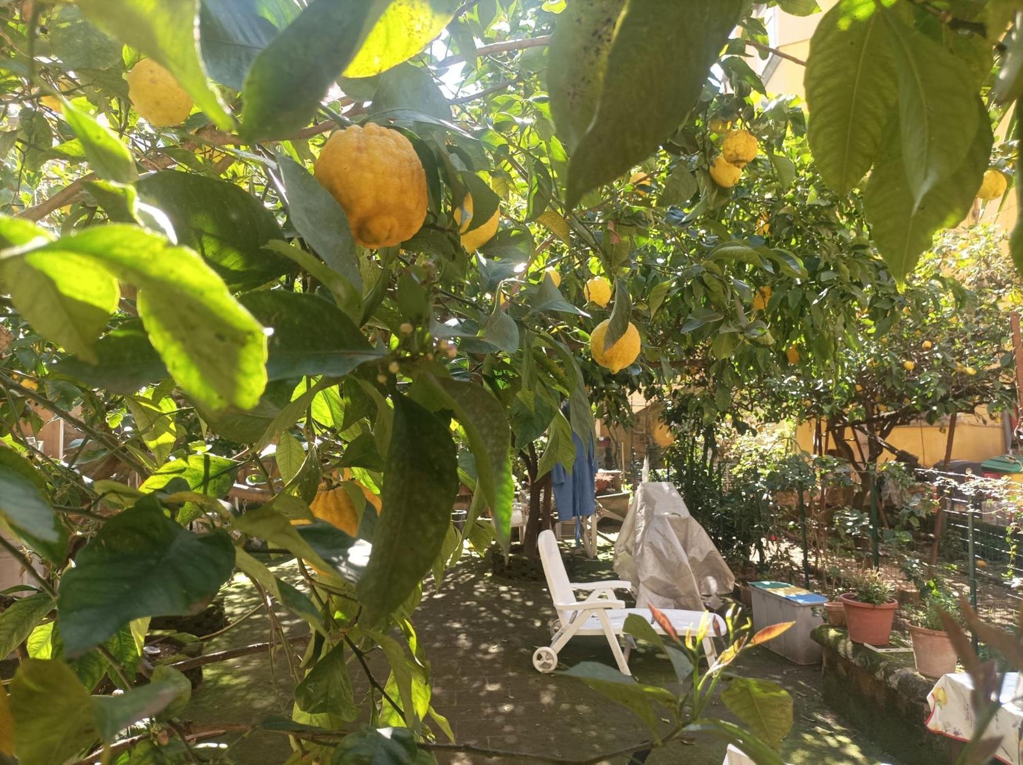 فندق Il Giardino Nascosto نابولي المظهر الخارجي الصورة