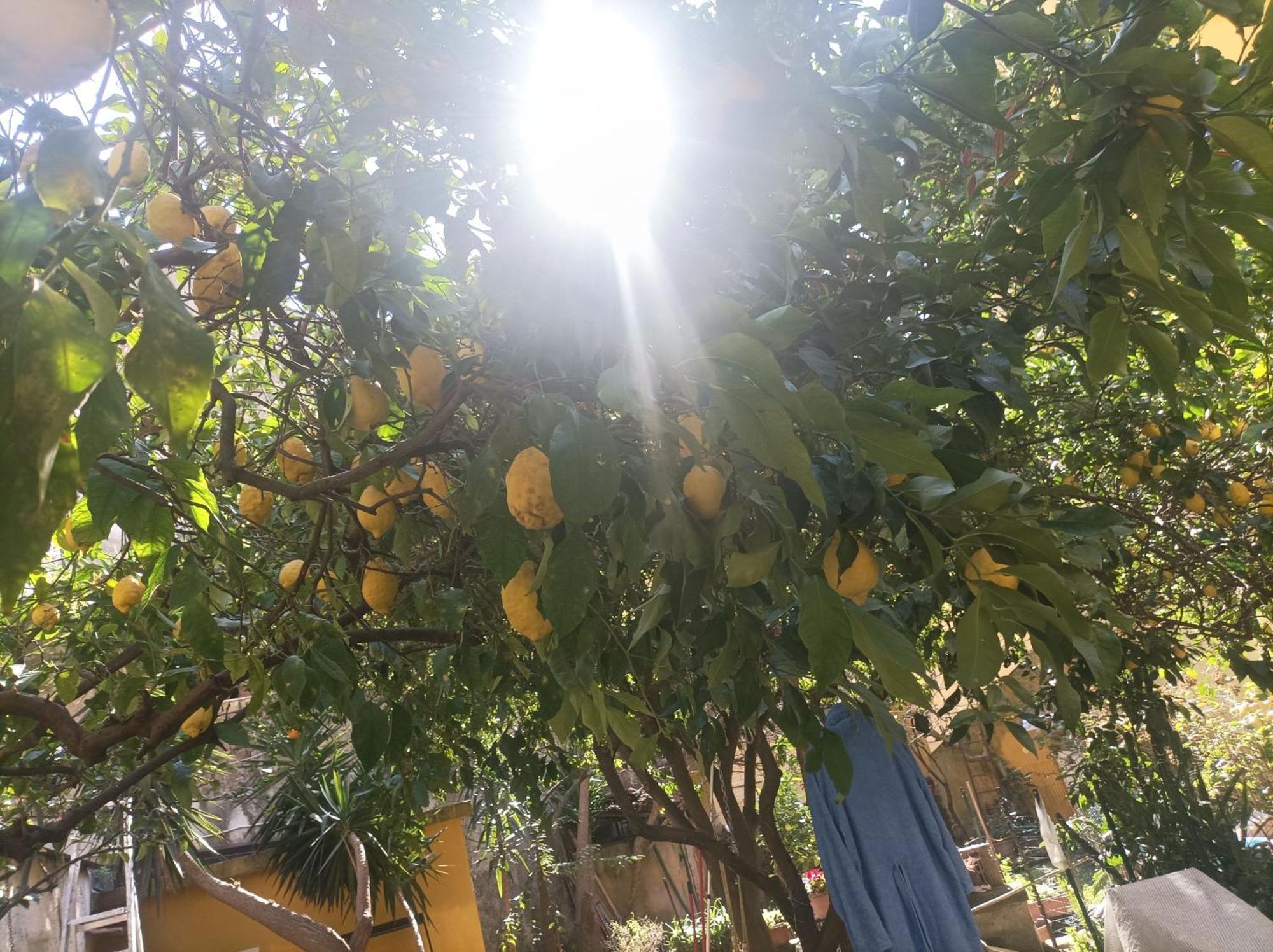 فندق Il Giardino Nascosto نابولي المظهر الخارجي الصورة